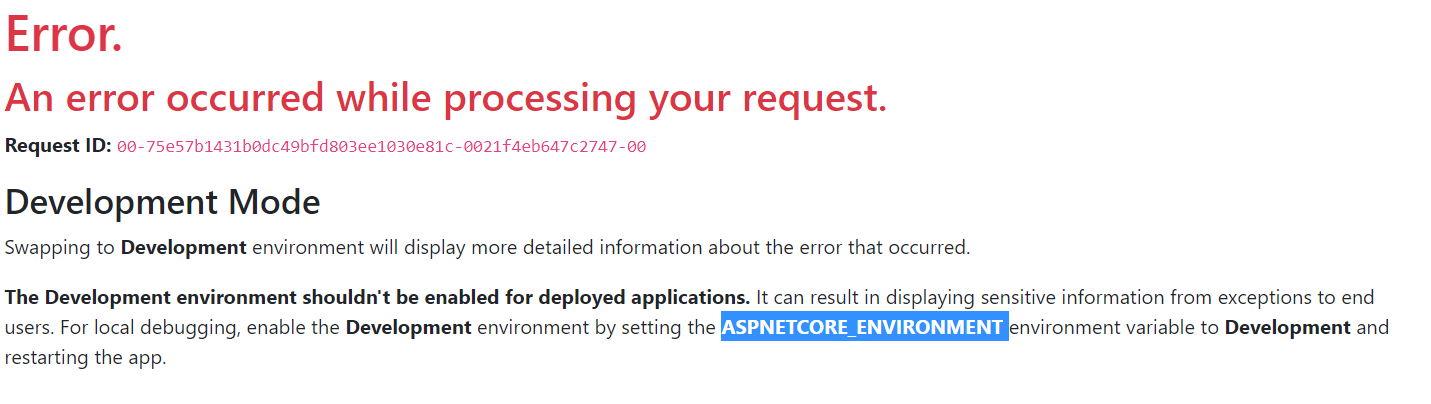 .NET Core Error Page