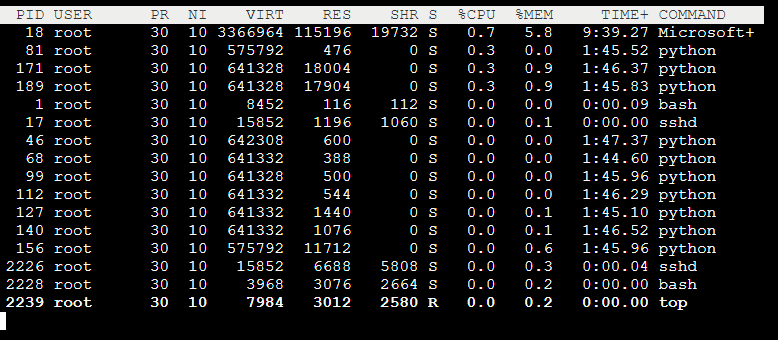 Multiple Python workers spawning up in SSH - top command