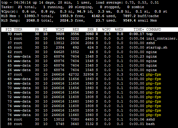 top Command OutPut