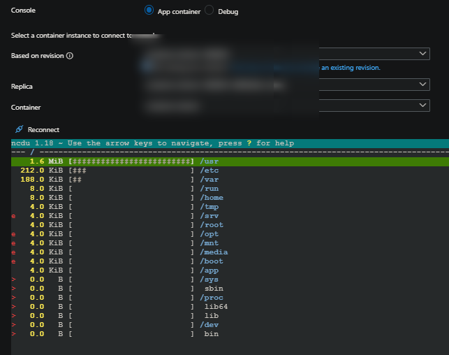 ncdu usage