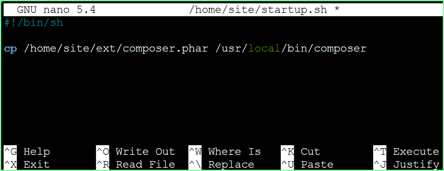 A nano window showing the startup script which copies the composer.phar to /usr/local/bin