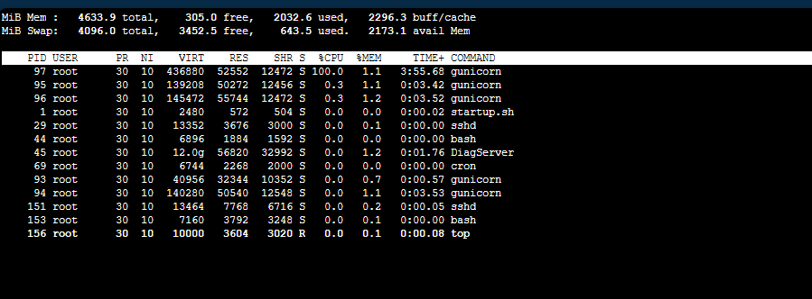 100% CPU usage from Gunicorn in top