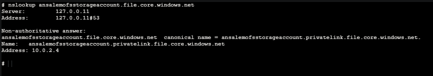 Private Endpoint output on the Container App