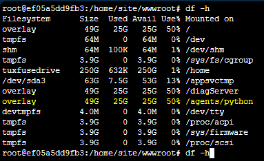 /agents/python volume mount